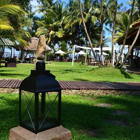 Cocovilla Boutique Resort ベントータ エクステリア 写真