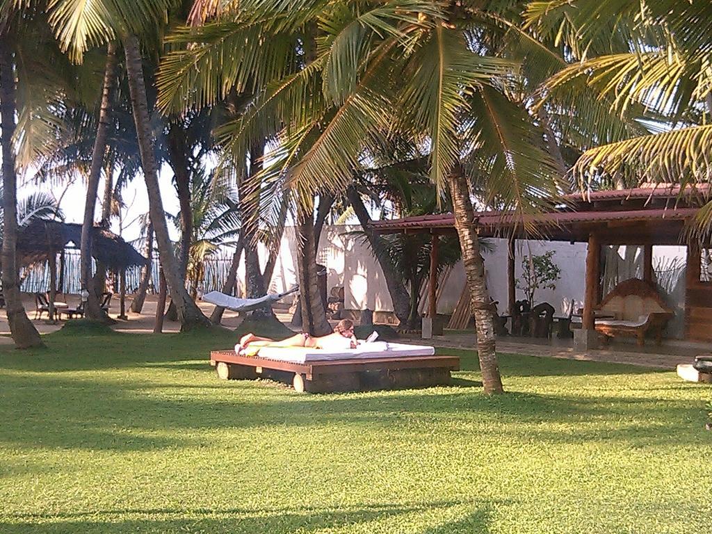 Cocovilla Boutique Resort ベントータ エクステリア 写真