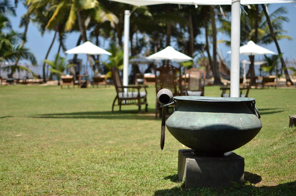 Cocovilla Boutique Resort ベントータ エクステリア 写真